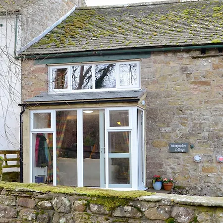 Woodpecker Semesterbostad *